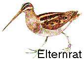 Elternrat