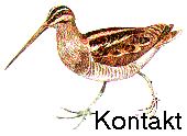Kontakt