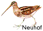 Neuhof
