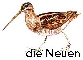 die Neuen